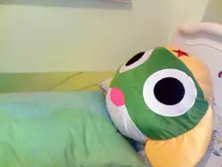 Franklin 周