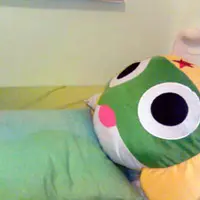 Franklin 周