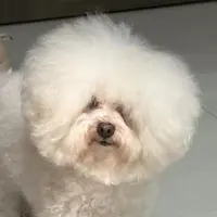 Snufkinlam