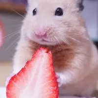 winnie_suen