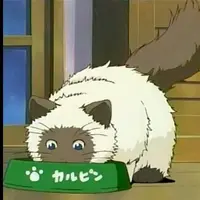波波球03