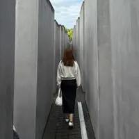 貪食兔