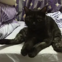 awswing
