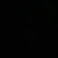 lty_wilson
