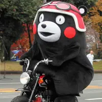 魚毛哥