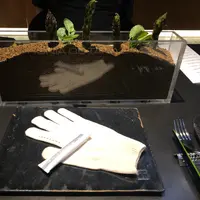 老友k