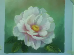 為為