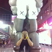 金马高