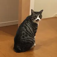 1356