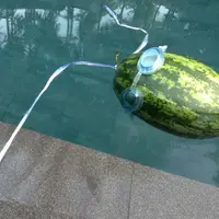 monkeychoi