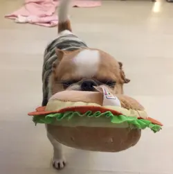 wchui