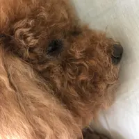winnie.law