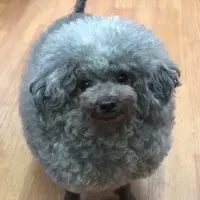美麗的亞細亞