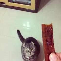 三胃仔