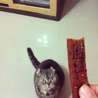 三胃仔