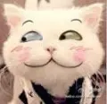 amywang