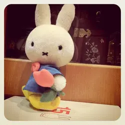 Rittierabbit