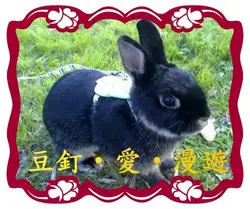 小糖^^