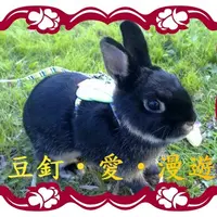 小糖^^