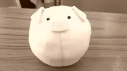 Piapia