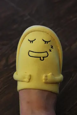 Shougor