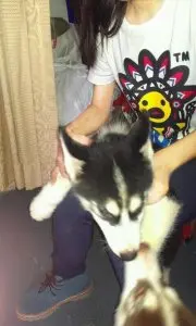 123lulu