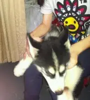 123lulu