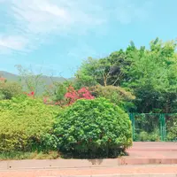 cohococo