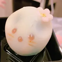 吉絲蒂©