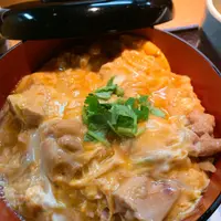 mileyhui