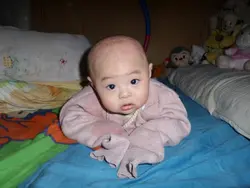文鸯BB