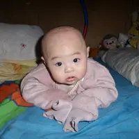文鸯BB