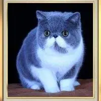 Margaret0111