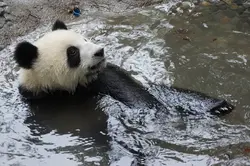 漁民一號