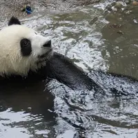 漁民一號