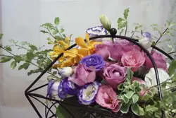 beautysearch