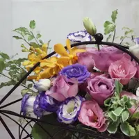 beautysearch