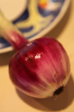 利太