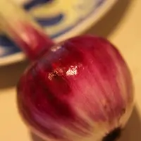 利太