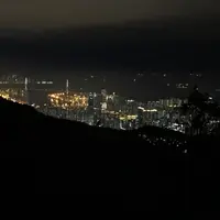 為食貓姐姐