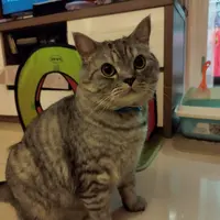 mabelboo