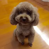 monkichi1213