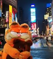 Aikoluvcats