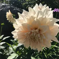 Kateleung82