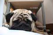 jackytsui19