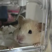 蔚蔚.