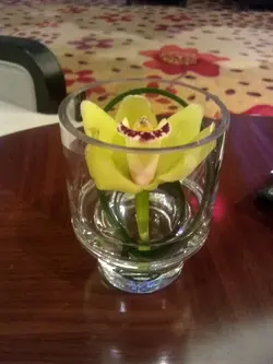 食食肥豬女