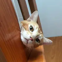yuickmok