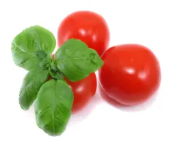 ibazil