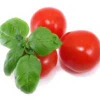 ibazil